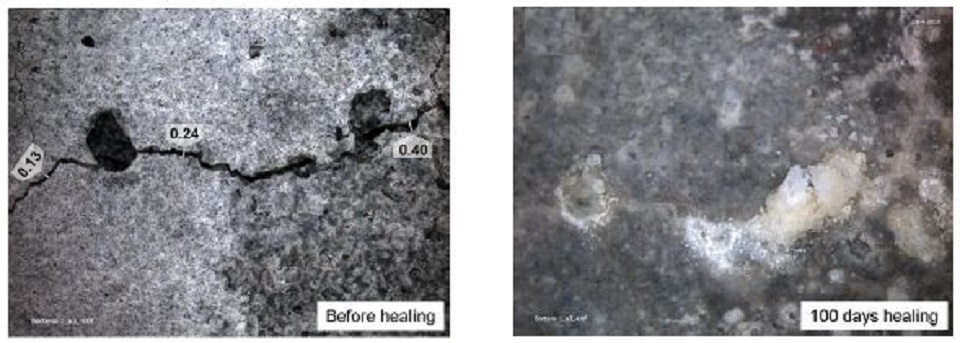 Photo credit: http://www.readymadeseminar.com/2015/06/bacteria-based-self-healing-concrete.html